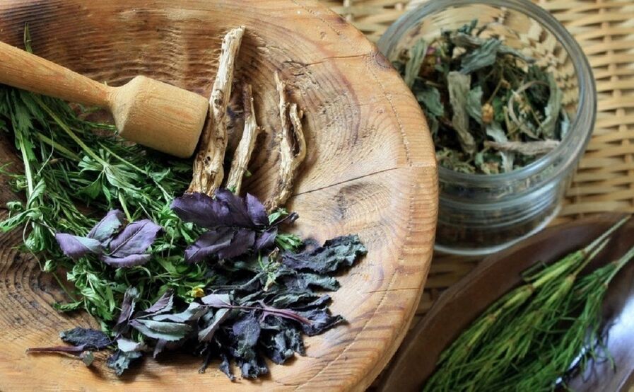 Medicinal herbs for the treatment of diabetes